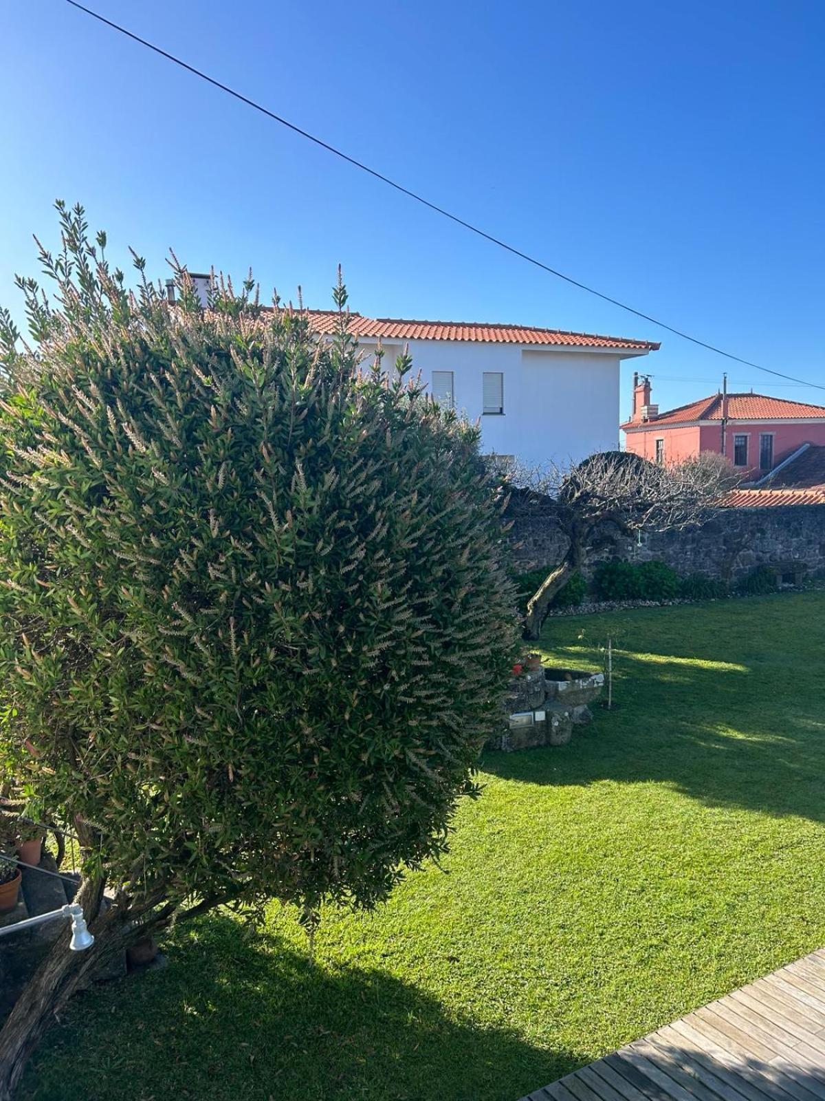 Casa Do Sorrio Ξενοδοχείο Βιάνα ντο Καστέλο Εξωτερικό φωτογραφία